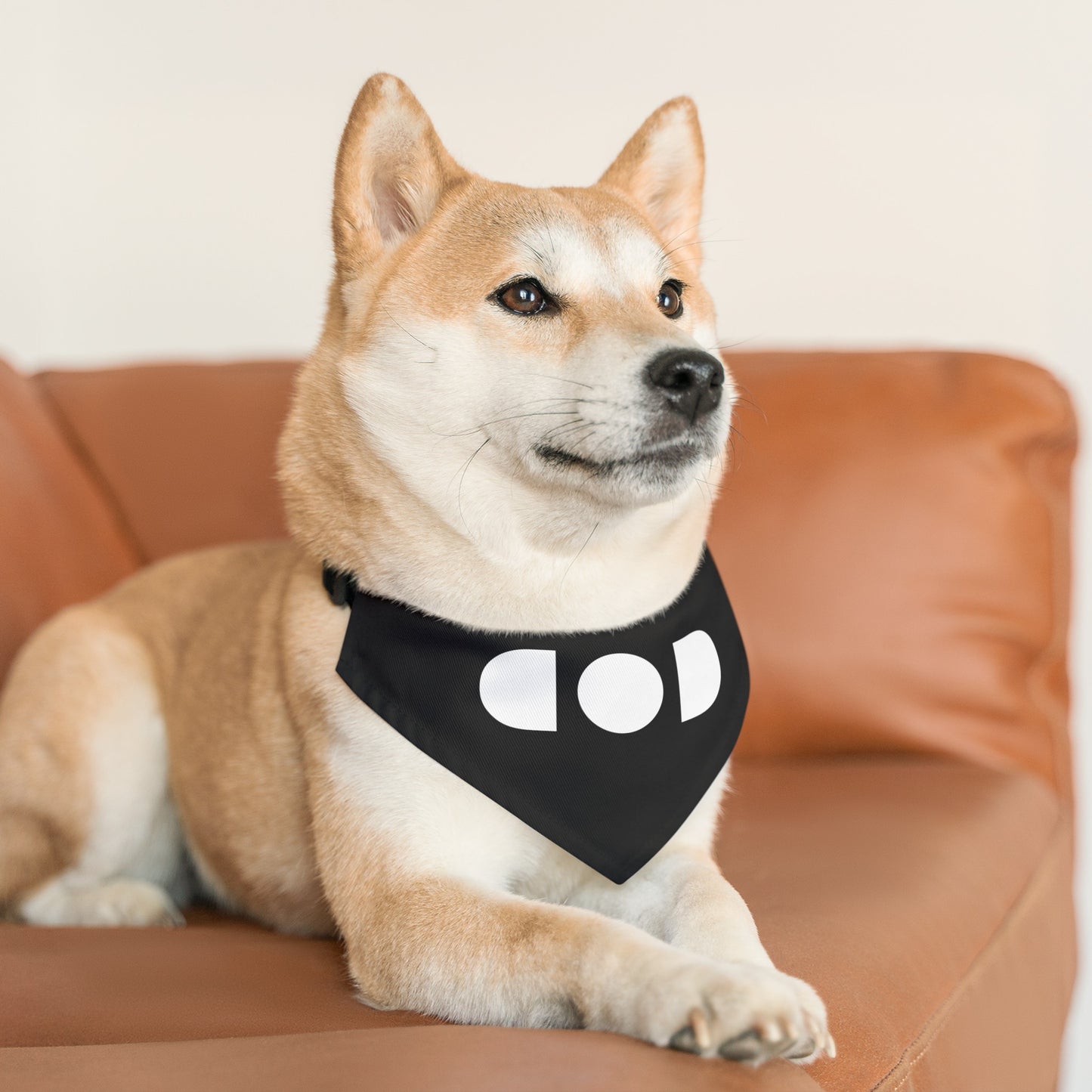 God Light — Pet Bandana Collar