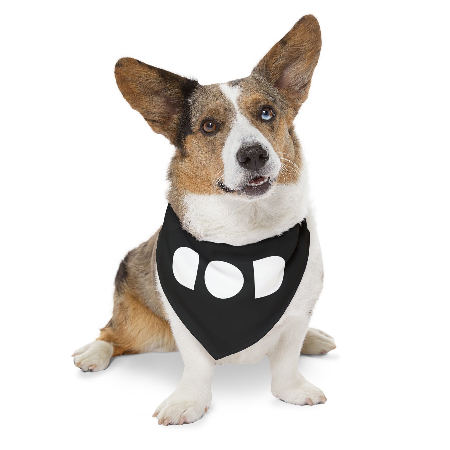 God Light — Pet Bandana Collar