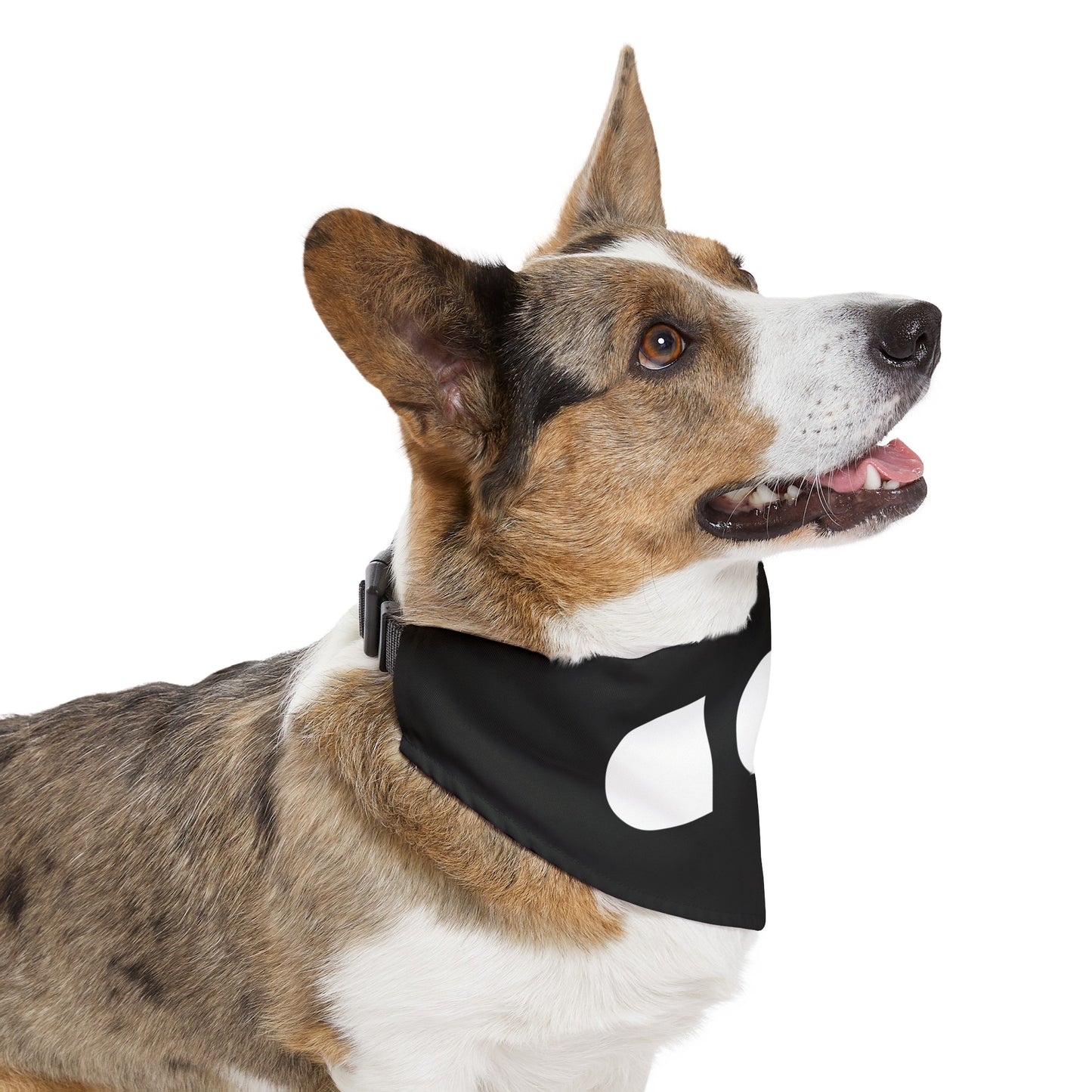 God Light — Pet Bandana Collar